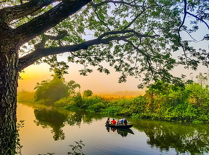 piante verdi, rami, alba, luce del giorno, ambiente, peschereccio, verde, lago, paesaggio, natura, all'aperto, persone, piante, riflessione, fiume, andare in barca, scenario, panoramico, vista, cielo, estate, viaggio, corteccia di albero, alberi, acqua, moto d'acqua, albero, pianta, nave nautica, modo di trasporto, mezzi di trasporto, bellezza nella natura, scenics - natura, crescita, lungomare, la tranquillità, scena tranquilla, tramonto, scena non urbana, 4K, CC0, dominio pubblico, privo di copyright