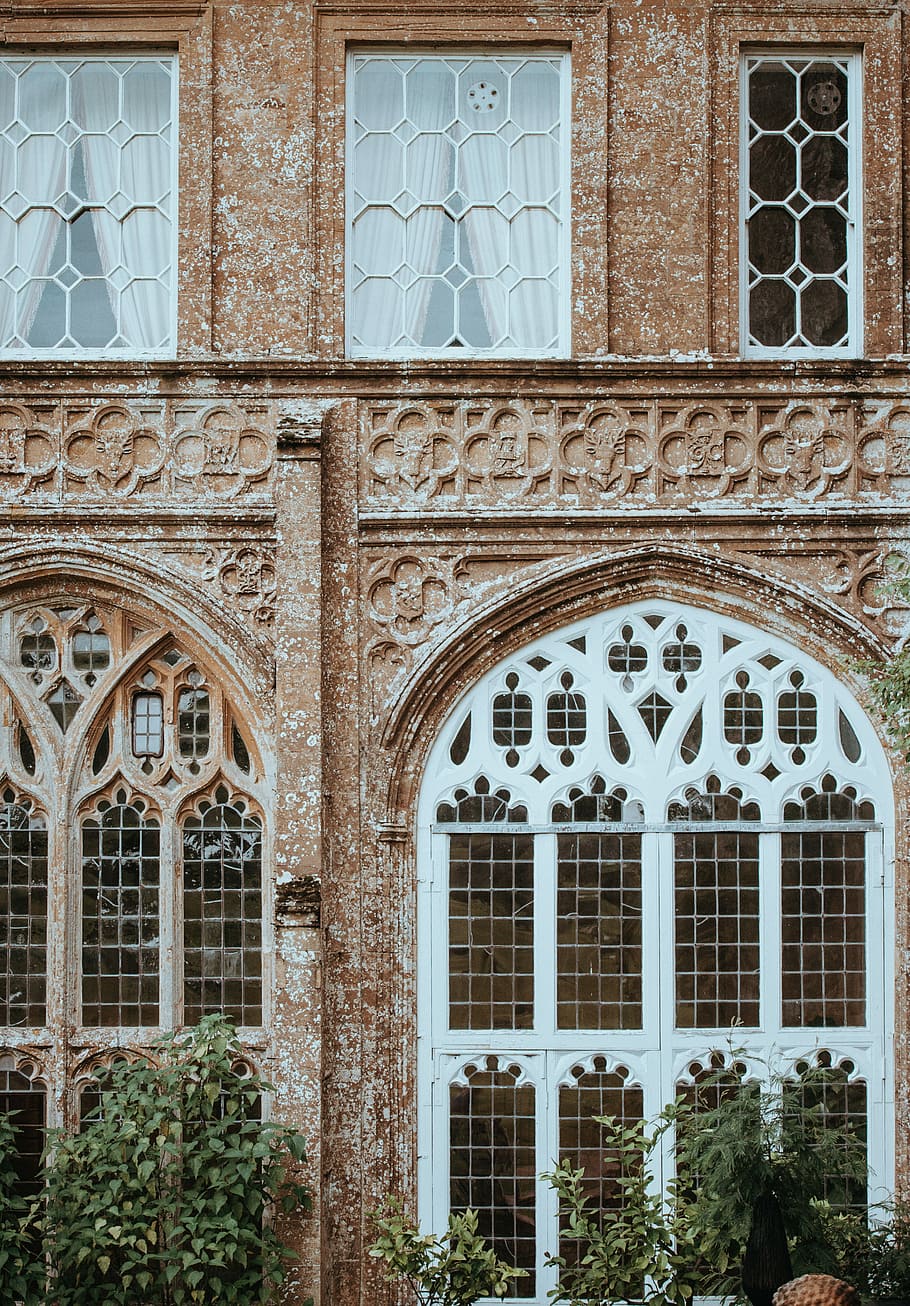 forde abbey, blanc, marró, façana de la casa, finestra, arc, pedra, edifici, vidre, cortines, ebbey, jardí, planta, full, arquitectura, estructura construïda, exterior de l'edifici, cap gent, dia, vidre - material, el passat, història, patró, a l'aire lliure, lloc de culte, arbre, paret, religió, marc complet, destinacions de viatge, ornamentat, 4K