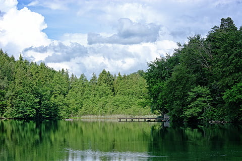 llac, bosc, arbres, núvols, naturalesa, cel, llac, bosc, escènic, harmonia, descans, verd, humor, aigua, arbre, reflexió, davant del mar, escenics, planta, color verd, bellesa a la natura, núvol - cel, creixement, tranquil·litat, escenics - natura, escena tranquil·la, cap gent, dia, escena no urbana, idíl·lic, a l'aire lliure, 5K, CC0, domini públic, lliure de regalies