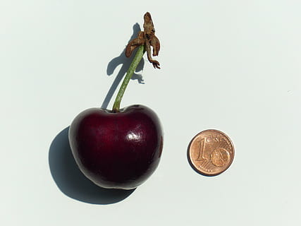 round bronze coin, beside, red, fruit, cherry, large, huge, size comparison, cent, penny, coin, monster cherry, studio shot, food and drink, healthy eating, food, still life, indoors, white background, wellbeing, freshness, close-up, no people, apple - fruit, two objects, plant stem, cut out, plant, organic, temptation, economy, 4K, CC0, public domain, royalty free