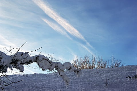 Baumast, Ast, Himmel, Schnee, Schneezauber, winterlich, Wintertraum, kalte Temperatur, Winter, wolke - himmel, Natur, Schönheit in der Natur, Baum, Pflanze, Tag, Ruhe, Szenen - Natur, keine Leute, kahler Baum, ruhige Szene, Feld, weiße Farbe, gefroren, Land, schneebedeckter Berg, 1080P, CC0, gemeinfrei, lizenzfrei