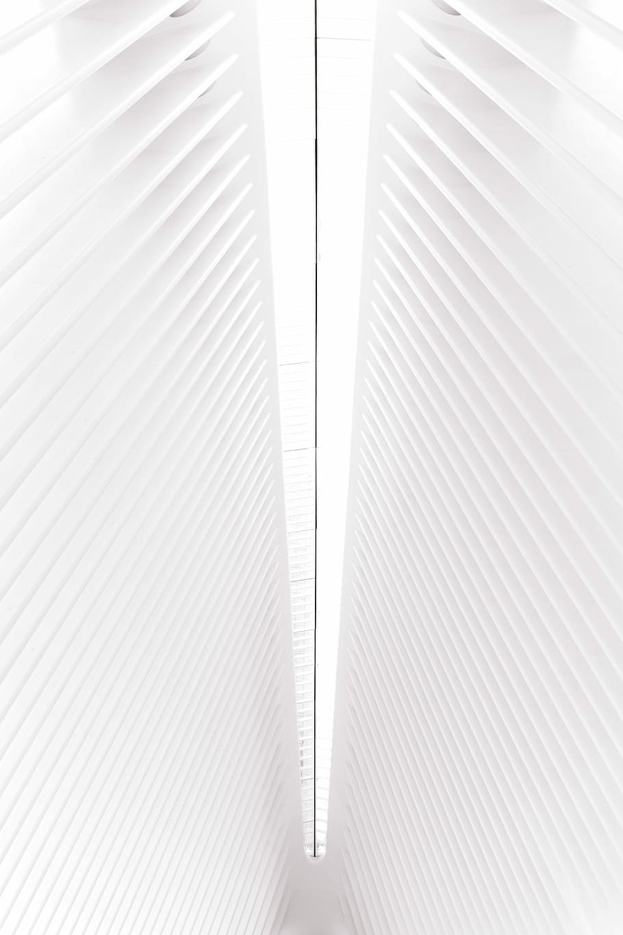 baix, vista d'angle, sostre, fotografia d'angle, blanc, pintat, obturador, finestra, torre, edifici, to, to blanc, netejar, mínim, oculus, nova York, new york, ny, nyc, torre de dom, patró, a l'interior, cap gent, fons, marc complet, arquitectura, metall, estructura construïda, Color blanc, vista d’angle alt, llum solar, primer pla, textura, modern, dia, funció de construcció de parets, color plata, 5K