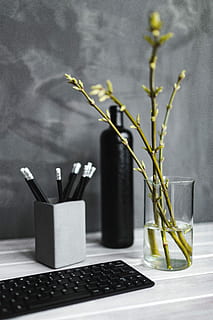 noir, clavier, des crayons, blanc, table, bouteille, plante, personne, à l'intérieur, vase, prise de vue en studio, organiseur de bureau, la nature, récipient, fleur, se concentrer sur le premier plan, plante à fleurs, nature morte, beauté dans la nature, plante en pot, croissance, journée, La technologie, verre - matériel, ordinateur, verre, tête de fleur, 5K, CC0, domaine public, libre de droits