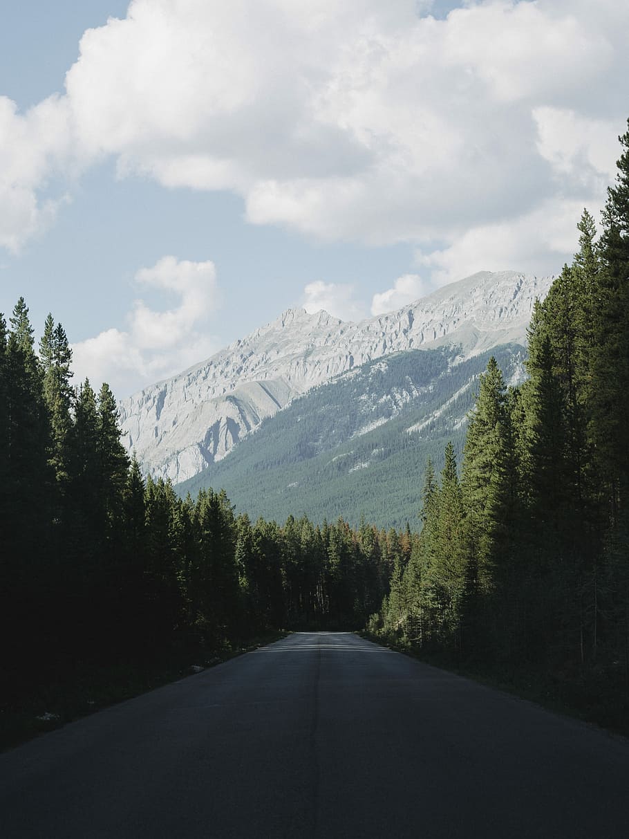 leeren, Straße, Wald, Blick auf die Berge, grau, Beton, Grün, Bäume, tagsüber, Tapete, iPhone Hintergrundbilder, iPhone-Hintergründe, Bildschirmhintergrund sperren, Berg, Baum, Himmel, Schönheit in der Natur, Richtung, Pflanze, Szenen - Natur, der Weg nach vorn, wolke - himmel, Natur, Transport, Wachstum, keine Leute, Umgebung, Ruhe, Landschaft, ruhige Szene, Gebirge, Winter, abnehmende Perspektive, Gipfel, Kiefer, Angebot, Formation, 4K