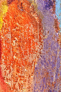 the framework, drawing, color, texture, paint, wall, tinte, graphics, pastels, artist, full frame, backgrounds, no people, textured, orange color, day, close-up, wall - building feature, weathered, creativity, pattern, outdoors, nature, red, art and craft, tree trunk, rough, trunk, plant, architecture, textured effect, 4K, CC0, public domain, royalty free