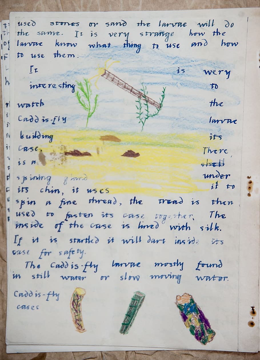 Trabajo escolar, ejercicio, proyecto, niño, educación, 1950s, naturaleza, estudiar, papel, antiguo, ciencia, nadie, fórmula, adentro, de cerca, día, texto, mapa, escritura occidental, comunicación, multi color, naturaleza muerta, escritura, viaje, libro, dirección, guión no occidental, guión, publicación, tablero, 2K