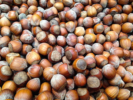 alune de padure, căprui, fructe uscate, alimente, maro, piuliță - mâncare, a închide, natură, alună, fundaluri, macro, mancare si bautura, coajă de nucă, sămânță, cadru complet, grup mare de obiecte, nici o persoana, prospeţime, nuca, mâncat sănătos, bunăstare, abundenţă, natură moartă, de vânzare, cu amănuntul, castan - alimente, zi, vedere în unghi mare, piaţă, 2K, CC0, domeniu public, fără drepturi de autor