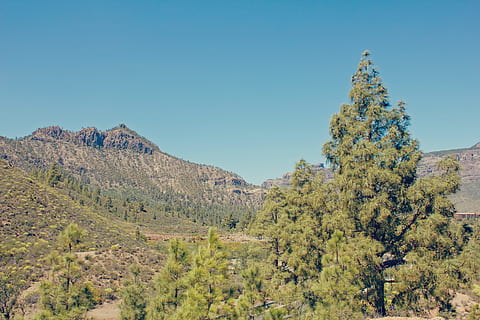 landscape, mountains, nature, sky, blue sky, clear sky, daylight, environment, outdoors, scenery, scenic, sight, trees, view, woods, scenics - nature, tranquil scene, plant, tree, beauty in nature, tranquility, non-urban scene, blue, mountain, day, no people, land, growth, remote, idyllic, 4K, CC0, public domain, royalty free