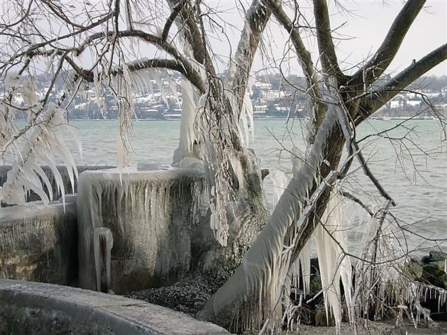 kold, sne, vinter, is, landskaber, høj, gel, hvid, vinterlandskab, Savoie, natur, snedækket, træ, landskab sne, Alperne, vinterhvide, bjerg, bare træ, kold temperatur, udendørs, dag, vand, ingen mennesker, plante, skønhed i naturen, scenics - natur, hav, afdeling, strand, ro, jord, rolig scene, miljø, horisont over vand, 1080P