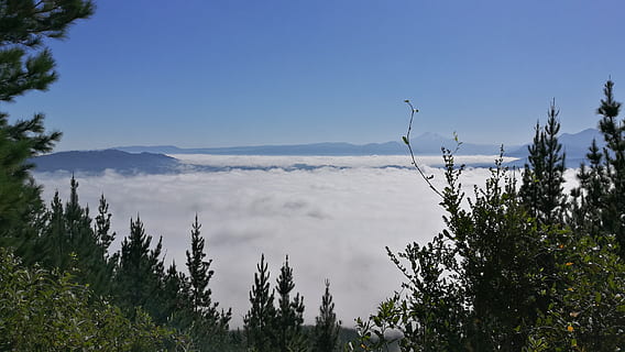 lake colico, Sky, udsigt, plante, træ, himmel, skønhed i naturen, ro, scenics - natur, rolig scene, natur, ingen mennesker, vand, dag, jord, vækst, ikke-urbane scene, skyfri himmel, bjerg, idyllisk, udendørs, grøn farve, miljø, nåletræ, fyrreskov, 2K, CC0, offentligt domæne, royaltyfrie