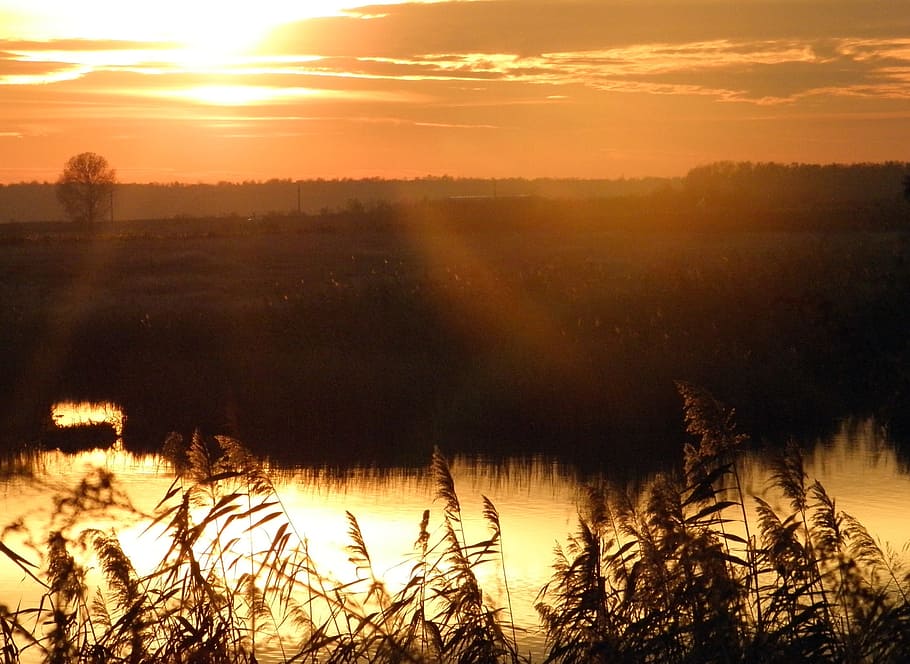 vann, himmel, vegetasjon, refleksjon, sol, lys, sollys, rolig, natur, miljø, solnedgang, skjønnhet i naturen, naturskjønnhet - natur, rolig scene, ro, oransje farge, anlegg, tre, ingen folk, ikke-urbane scene, landskap, sky - himmel, idylliske, vekst, land, lysskjær, utendørs, 2K