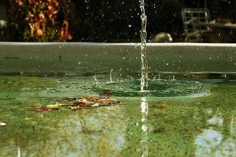 agua, gotas, solta, outono, úmido, piscina, fonte, salpicos, molhado, pulverização, spray, natureza, ao ar livre, líquido, movimento, vertebrado, lago, beira-mar, ninguém, dia, temas animais, natação, grupo de animais, foco seletivo, animal, animais em estado selvagem, animais selvagens, água corrente, fluindo, pureza, 4K, CC0, domínio público, royalty free