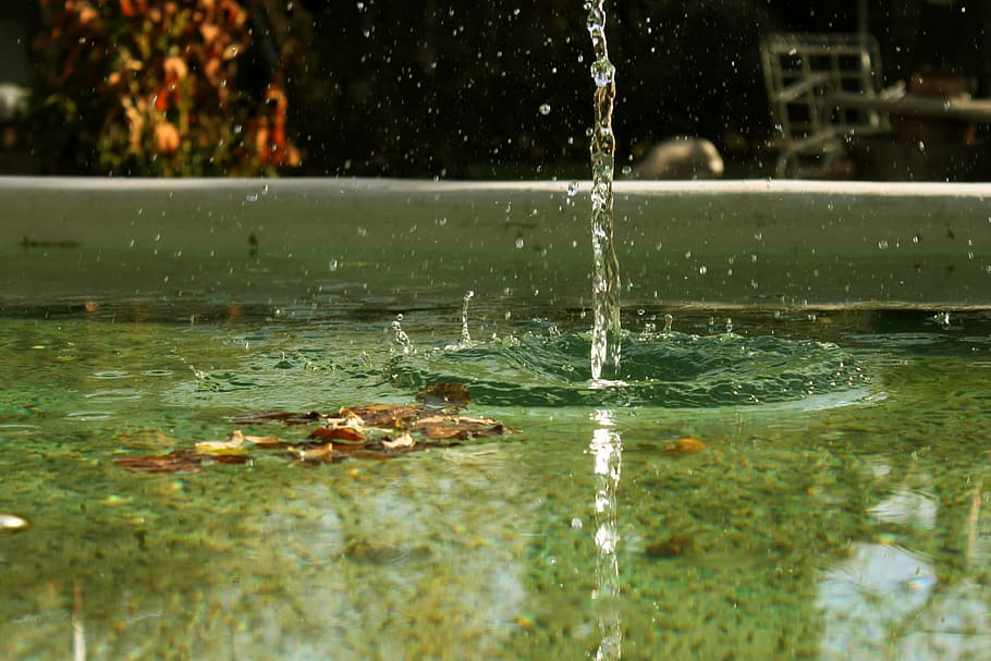 Wasser, Tropfen, fallen, dämpfen, Schwimmbad, Brunnen, plantschen, nass, sprühen, Natur, draußen, Flüssigkeit, Bewegung, Wirbeltier, See, Ufergegend, keine Leute, Tag, Tierthemen, Schwimmen, Gruppe von Tieren, selektiver Fokus, Tier, Tiere in freier Wildbahn, Tierwelt, fließendes Wasser, fließend, Reinheit, 4K