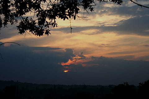 tramonto, morbido, nuvole, perlaceo, rosa, bianchi, lucentezza, di perla, calma, fogliame, cielo, natura, albero, all'aperto, crepuscolo, Paesaggi, paesaggio, nuvola - cielo, bellezza nella natura, silhouette, pianta, scenics - natura, nessuno, scena tranquilla, la tranquillità, colore arancione, idilliaco, architettura, cielo drammatico, esterno dell'edificio, crescita, ramo, 4K, CC0, dominio pubblico, privo di copyright