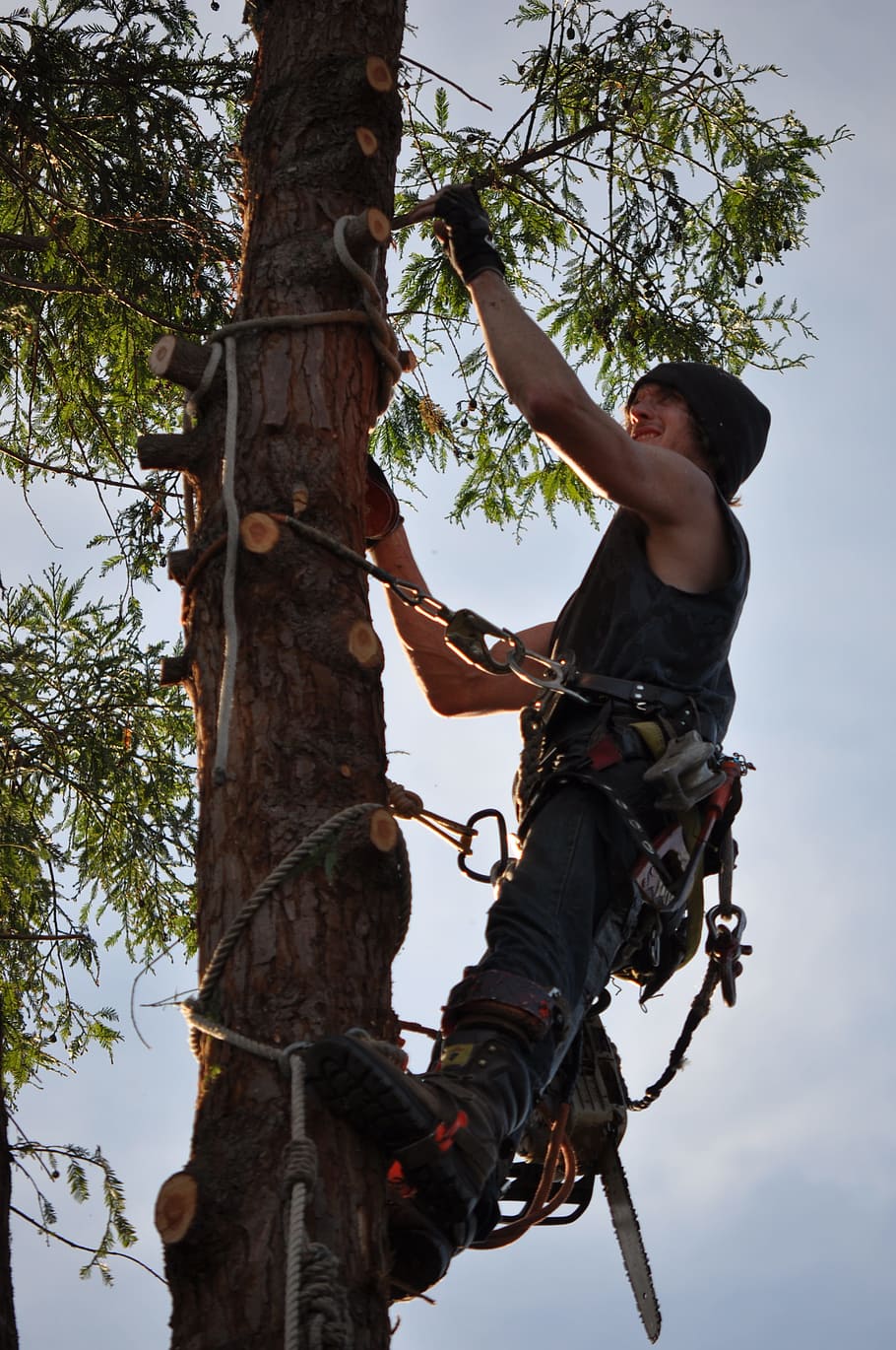 escalador d’arbres, motoserra, home, arbre, vista d’angle baix, una persona, cel, persones reals, dia, longitud completa, planta, naturalesa, activitat d'oci, roba casual, estils de vida, tronc de l'arbre, a l'aire lliure, tronc, homes, vista lateral, risc, escalada, 4K