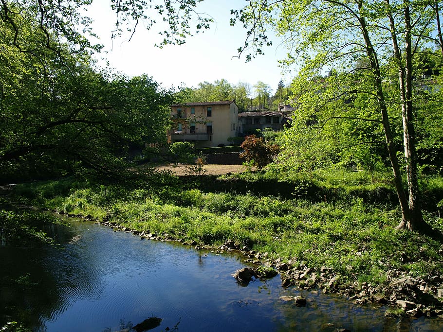 natur, træ, grene, blade, træer, flod, vand, landskab, hus, afspejling, udendørs, bygning udvendig, plante, bygget struktur, arkitektur, bygning, vækst, dag, ingen mennesker, himmel, grøn farve, boligområde, ro, 2K