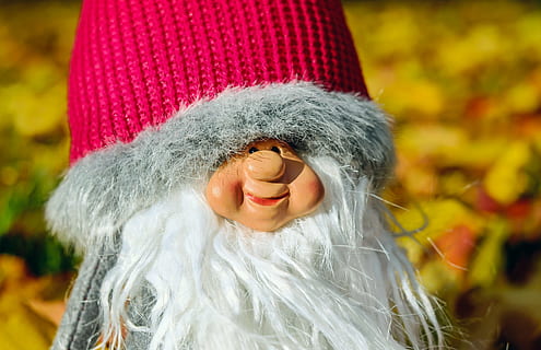 Iš arti, fotografija, gnome, raudona, pilka, megzti, dangtelį, nykštukė, imp, skaičius, veidas, juokinga, linksmas, ramus, yra, laimingas, ruduo, miškas, pobūdį, Uždaryti, vienas asmuo, šūvis į galvą, skrybėlę, portretas, apranga, sutelkti dėmesį į naujas žinias, šilti drabužiai, žiemą, žmogaus kūno dalis, Vaizdas iš priekio, šypsosi, moterys, suaugusiųjų, kūno dalis, šalta temperatūra, dieną, laimė, realūs žmonės, žmogaus veidą, neaiškus veidas, burną atidaryti, skara, graži moteris, 4K