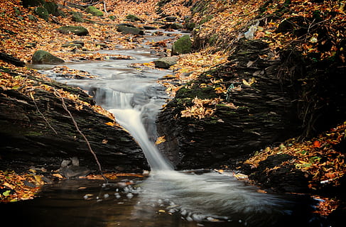 lapso de tiempo de fotografia, río, marrón, seco, hojas, cascada, agua, paisaje, turismo, descanso, naturaleza, torrente, corriente, arroyo, otoño, bosque, al aire libre, scenics, roca - objeto, agua que fluye, hoja, belleza en la naturaleza, que cae, rock, paisajes - naturaleza, larga exposición, movimiento, sólido, árbol, tierra, fluido, nadie, movimiento borroso, formacion de roca, día, cambio, la caída del agua, poder en la naturaleza, corriente - agua que fluye, 4K, CC0, dominio público, libre de derechos