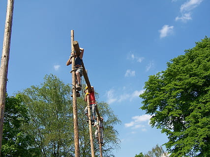 menn, klatrer trær, arbeid, slitsom, tre, anlegg, himmel, lav vinkel visning, natur, dag, blå, ingen folk, vekst, sky - himmel, utendørs, stang, sollys, høy - høy, skog, okkupasjon, trestamme, sikkerhet, industri, stamme, sikkerhetsutstyr, 1080P, CC0, offentlig domene, opphavsrett gratis