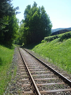 traccia, treno, foresta, estate, ferrovia, trasporto ferroviario, mezzi di trasporto, albero, nessuno, giorno, pianta, colore verde, la strada davanti, direzione, crescita, natura, prospettiva decrescente, cielo, erba, terra, modo di trasporto, punto di fuga, campo, all'aperto, lungo, parallelo, 2K, CC0, dominio pubblico, privo di copyright