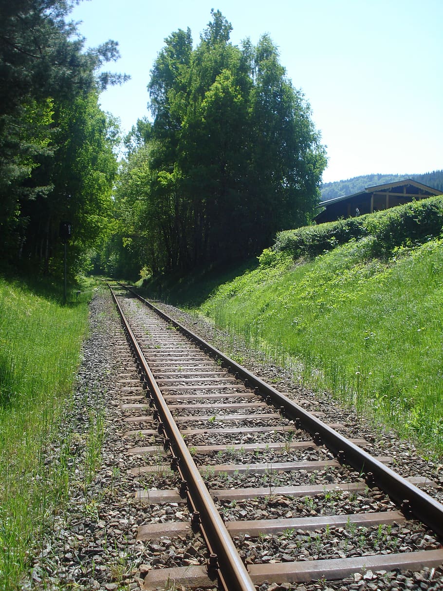 traccia, treno, foresta, estate, ferrovia, trasporto ferroviario, mezzi di trasporto, albero, nessuno, giorno, pianta, colore verde, la strada davanti, direzione, crescita, natura, prospettiva decrescente, cielo, erba, terra, modo di trasporto, punto di fuga, campo, all'aperto, lungo, parallelo, 2K