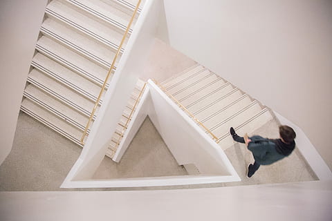 caminar, persona, blanc, concret, escales, home, escala, escala d’escala, guggenheim, angle, angular, disseny, museu, àngel, arquitectura, passos i escales, nacional, animals domèstics, un animal, mascotes, mamífer, estructura construïda, gos, caní, gent, a l'interior, longitud completa, gat, vista d’angle alt, vertebrats, petit, 5K, CC0, domini públic, lliure de regalies
