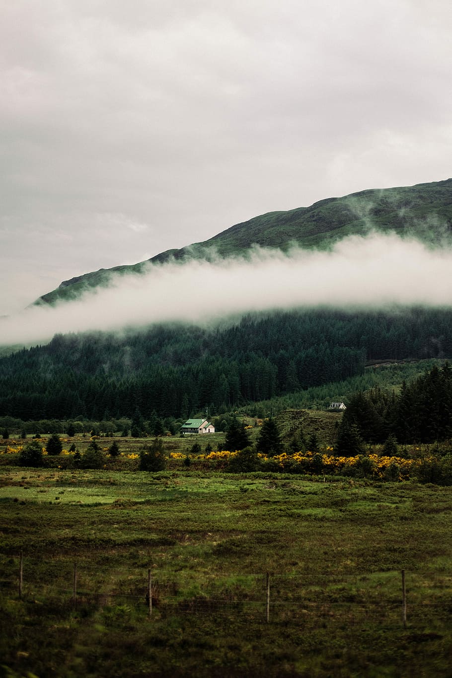 casa, envoltat, arbres, durant el dia, fotografia de paisatge, núvols, muntanyes, arbre, temps, núvol, boira, cabina, misy, bosc, fosc, humor, paisatge, marró, muntanya, camp, fortwilliam, viatjar, nord, backcountry, escocès, medi ambient, bellesa a la natura, escena tranquil·la, escenics - natura, tranquil·litat, cel, planta, terra, núvol - cel, naturalesa, cap gent, escena no urbana, dia, escena rural, a l'aire lliure, nebulós, 4K