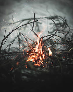 bål, selektiv, fokus fotografering, brænding, kviste, ild, toner, flamme, rød, hed, Pind, varme, gnist, glød, lejrbål, brandstiftelse, Skov, udendørs, orange, varme - temperatur, brand - naturligt fænomen, natur, ingen mennesker, jord, log, plante, træ, røg - fysisk struktur, træ - materiale, glødende, orange farve, Brænde, 2K, CC0, offentligt domæne, royaltyfrie