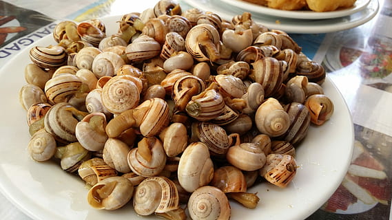 snails, snail, stew, food, food and drink, freshness, wellbeing, close-up, indoors, healthy eating, large group of objects, plate, no people, still life, abundance, nut, high angle view, table, snack, ready-to-eat, nut - food, day, ingredient, temptation, chinese food, 4K, CC0, public domain, royalty free