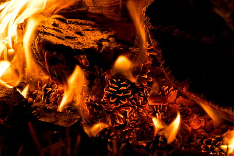 brændende pinecones, ild, flamme, glød, orange, træ, varme, varm, lejrbål, grankogle, Skov, tæt på, Camping, brænding, brand - naturligt fænomen, varme - temperatur, træ - materiale, orange farve, log, bevægelse, Brænde, glødende, ingen mennesker, natur, bål, nat, fuld ramme, lang eksponering, udendørs, 5K, CC0, offentligt domæne, royaltyfrie