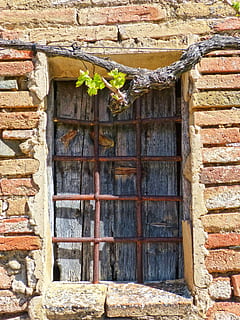 window, parra, balusters, old, architecture, built structure, building exterior, wall, no people, building, day, brick wall, brick, house, plant, wall - building feature, outdoors, door, nature, wood - material, abandoned, entrance, stone wall, 4K, CC0, public domain, royalty free