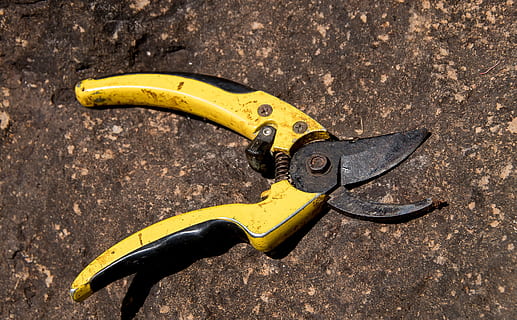 cesoie, strumento, potatura, taglio, giardino, attrezzatura, forbici, lama, giallo, strumento di lavoro, Banana, avvicinamento, vista dall'alto, nessuno, direttamente sopra, frutta, natura, singolo oggetto, all'aperto, mangiare sano, giorno, luce del sole, metallo, natura morta, benessere, strumento a mano, 2K, CC0, dominio pubblico, privo di copyright