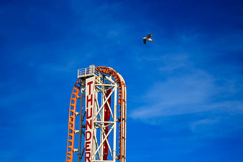 iarnă, coney insula, pasăre, zbor, roller coaster track, structura, parc tematic, Rollercoaster, călătorie, bâlci, cer, vedere unghiulară joasă, parc de distractii, albastru, parc de distracții, natură, la mijlocul-aer, zi, nici o persoana, arta culturii și divertismentului, nor - cer, arhitectură, animale tematice, metal, construită, animal, în aer liber, animale vertebrate, entuziasm, 5K, CC0, domeniu public, fără drepturi de autor