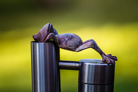 granota, relaxa't, descans, preocupacions, relaxat, serenitat, trencar, alimentació saludable, groc, estil de vida saludable, cap gent, menjar, naturalesa, primer pla, metall, centrar-se en primer pla, fons de colors, natura morta, menjar i beguda, porpra, a l'interior, contenidor, dia, medi ambient, aigua, benestar, frescor, color plata, acer, 1080P, CC0, domini públic, lliure de regalies