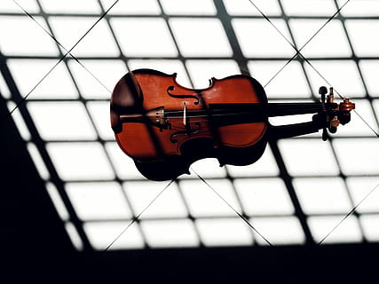 violon brun, noir, marron, violon, blanc, sol, ombre, lumière, lignes, instrument, instrument à cordes, instrument de musique, la musique, culture artistique et divertissement, à l'intérieur, équipement musical, chaîne, fermer, se concentrer sur le premier plan, personne, corde d'instrument de musique, arc - équipement musical, bois - matériau, objet unique, journée, en jouant, nature morte, vue grand angle, mise au point sélective, 4K, CC0, domaine public, libre de droits