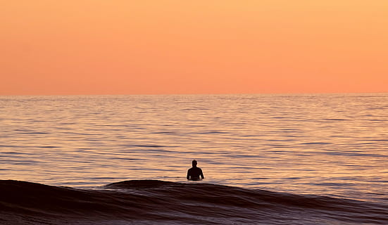 pantai, senja, horison, alam, samudra, laut, pemandangan laut, bayangan hitam, langit, matahari terbit, matahari terbenam, air, gelombang, olahraga, hewan, tema binatang, keindahan di alam, mamalia, warna oranye, scenics - alam, cakrawala di atas air, satwa liar hewan, menyalin ruang, ketenangan, tanah, satu binatang, di luar rumah, kebebasan, 2K