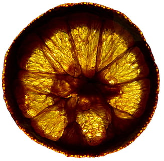 Orange, Scheibe, Rad, Kreis, Farbe, die Strahlen, die Farbe der, Abstraktion, Natur, Sonnenstrahlen, weißer Hintergrund, gesundes Essen, Obst, Essen und Trinken, Zitrusfrucht, Studioaufnahme, Lebensmittel, Wohlbefinden, drinnen, Frische, orange Farbe, Kreuzung, Orangenfrucht, keine Leute, Nahansicht, Stillleben, gestalten, 2K, CC0, gemeinfrei, lizenzfrei