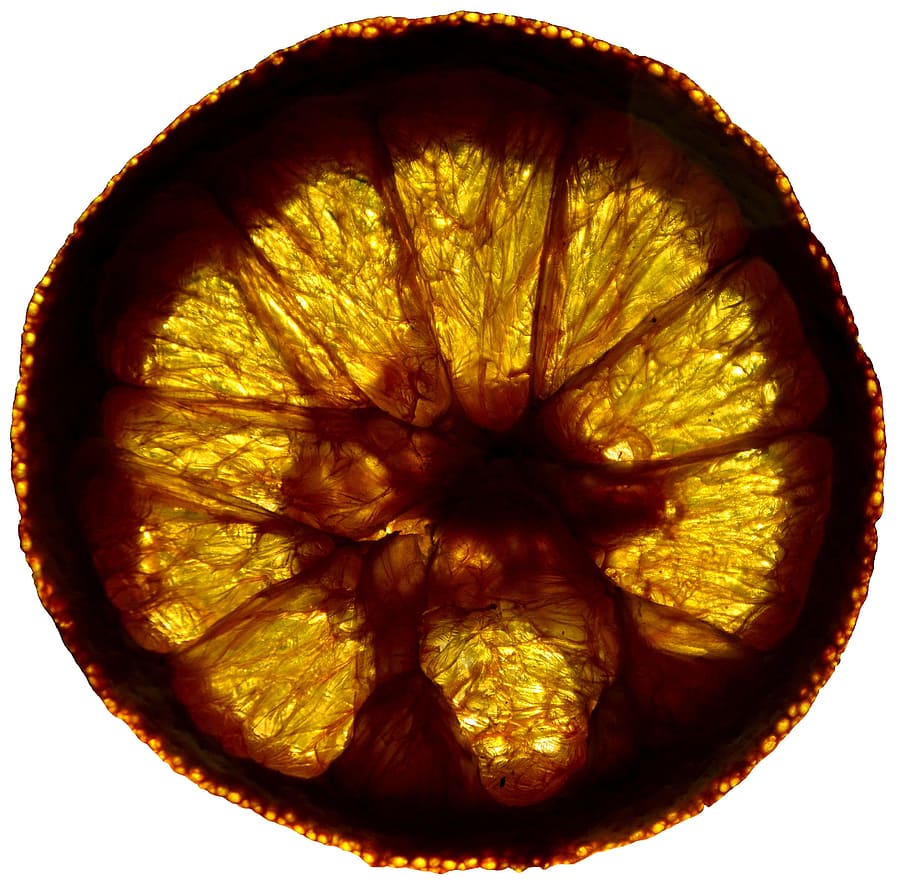 taronja, tall, roda, cercle, color, els raigs, el color del, abstracció, naturalesa, raigs del sol, fons blanc, alimentació saludable, fruita, menjar i beguda, cítrics, tir de l'estudi, menjar, benestar, a l'interior, frescor, color taronja, secció transversal, taronja - fruita, cap gent, primer pla, natura morta, forma, 2K