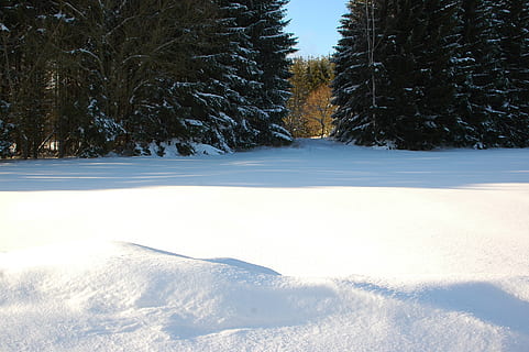 talvi-, lumi, metsä, talvinen, kylmä, luminen, valkoinen, luonto, Rau, talvimetsä, maisema, lumimaisema, Puut, puumetsä, ilta, puu, ulkona, kausi, kylmä - lämpötila, halla, kylmä lämpötila, kasvi, maa, valkoinen väri, kauneus luonnossa, tyyneys, rauhallinen kohtaus, maisemat - luonto, ei ihmisiä, päällyste, ympäristö, päivä, ei-kaupunkikuvia, mänty, havupuu, mäntymetsät, lumiset vuoret, 2K, CC0, public domain, rojaltivapaa
