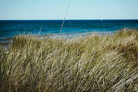 Lake Michigan, Landschaft, Meer, Natur, Blau, Strand, Sommer-, Himmel, Wasser, Küste, keine Leute, draußen, szenen, Reiseorte, Horizont über Wasser, ruhige Szene, Horizont, Land, Ruhe, Szenen - Natur, Schönheit in der Natur, Gras, Pflanze, Tag, klarer Himmel, Wachstum, Marram Gras, 4K, CC0, gemeinfrei, lizenzfrei