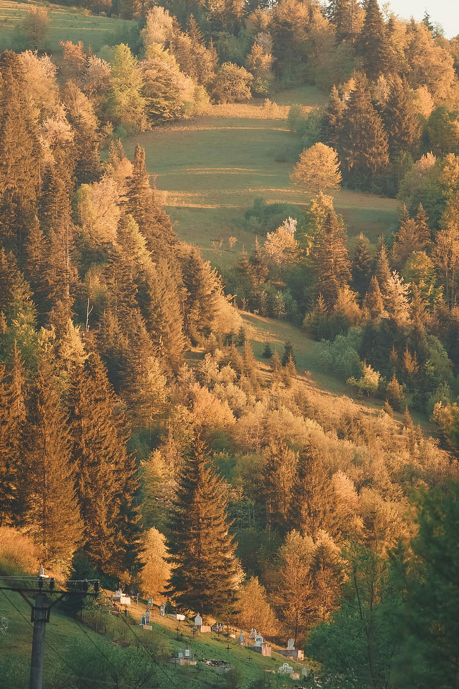 pins, verd, marró, pintura d'arbres de fulla, arbre, cementiri, bosc, vessant, làpida, tomba, lloc d'enterrament, naturalesa, llum solar, herba, línia elèctrica, mort, a l'aire lliure, muntanya, romania, transylvanium, planta, tardor, canvi, tranquil·litat, escena tranquil·la, bellesa a la natura, creixement, escenics - natura, dia, cap gent, terra, escena no urbana, vista d’angle alt, color taronja, paisatge, medi ambient, 5K