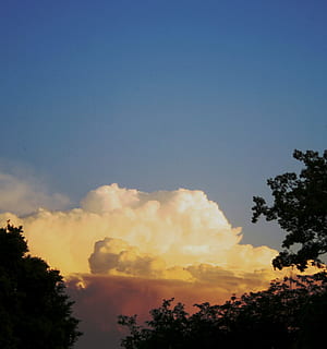 nuage, cumulus, lumière blanche, bouffi, gros, blanc, lumière, ciel bleu, des arbres, le coucher du soleil, arbre, la nature, ciel, personne, en plein air, plante, beauté dans la nature, nuage - ciel, paysages - nature, tranquillité, espace de copie, scène tranquille, faible angle de vue, silhouette, environnement, lumière du soleil, journée, bleu, couleur orange, la pollution, la pollution de l'air, 1080P, CC0, domaine public, libre de droits