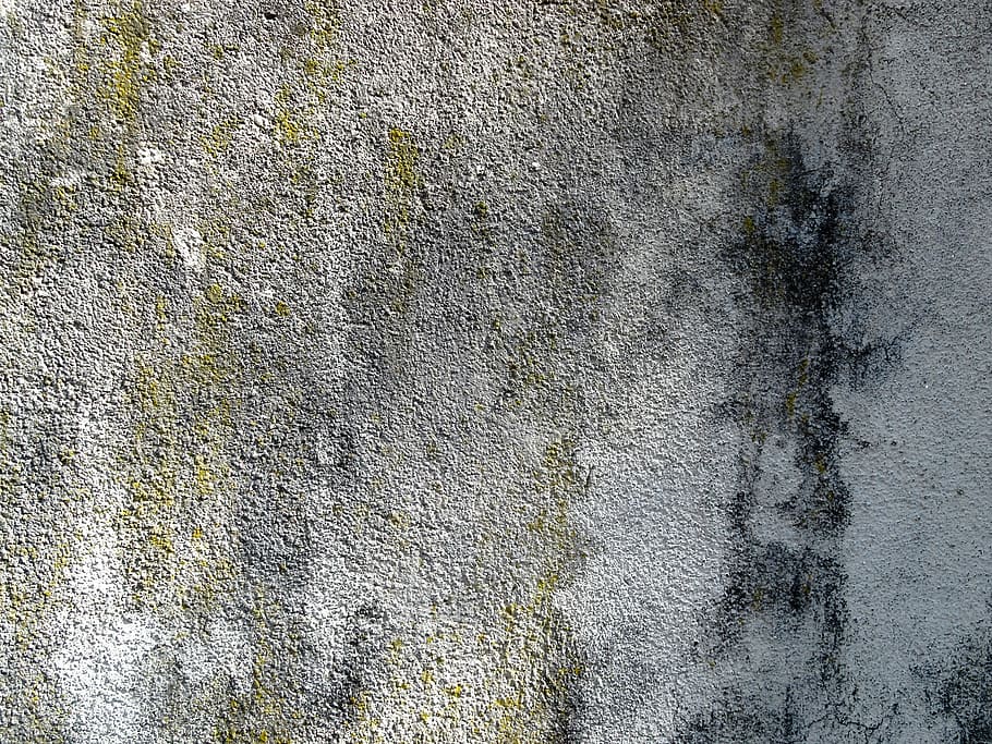 paret de formigó, fons, estructura, textura, brut, resistent, esquerdes, taques, irregular, pàtina, grunge, vell, esquerdat, fràgil, paret, concret, ratllat, envelliment, funció de construcció de parets, estructura construïda, marc complet, cap gent, aspre, arquitectura, patró, dia, primer pla, gris, deteriorament, declivi, exterior de l'edifici, ciment, efecte texturat, 2K
