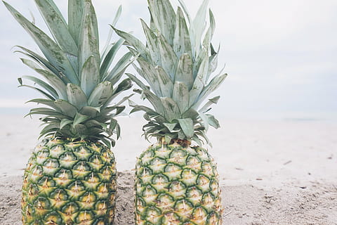 to ananasfrugter, strand, frugt, ananas, sand, sommer, sommer vibes, sommertid, tropisk, tropisk frugt, ingen mennesker, tæt på, dag, Palme træ, natur, udendørs, sund kost, mad og drikke, velvære, mad, jord, friskhed, tropisk klima, hav, fokus på forgrunden, stilleben, grøn farve, moden, 5K, CC0, offentligt domæne, royaltyfrie