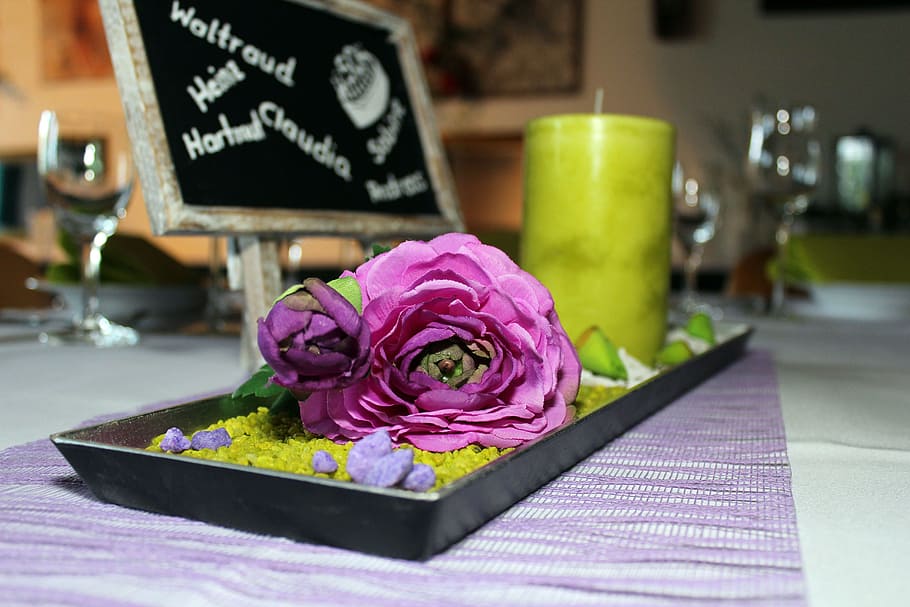 taula, decoració, flor, shell, vela, decoració de taula, color rosa, flor de roses, pètal, primer pla, dia, frescor, planta amb flors, text, rosa, bellesa a la natura, planta, naturalesa, menjar i beguda, cap gent, cap de flor, centrar-se en primer pla, vulnerabilitat, guió occidental, inflorescència, vidre, a l'aire lliure, porpra, safata, arranjament floral, 5K