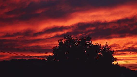 Himmel, rot, Baum, Natur, Abend, Wolken, Luft, Sonnenuntergang, roter Himmel, Stimmung, glühen, Sonnenlicht, Garten, wolke - himmel, Silhouette, Schönheit in der Natur, Ruhe, Pflanze, Szenen - Natur, Dramatischer Himmel, ruhige Szene, keine Leute, orange Farbe, idyllisch, Umgebung, Flachwinkelansicht, Landschaft, Scheu, dunkel, draußen, Kiefer, romantischer Himmel, Nadelbaum, 5K, CC0, gemeinfrei, lizenzfrei