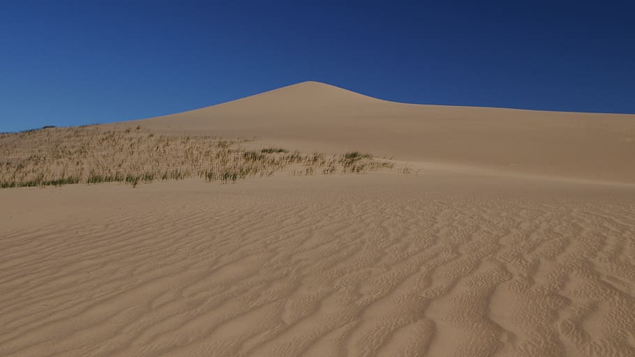 muntanya del desert, mongolia, desert, estructura, duna, sorra, terra, paisatge, escenics - natura, medi ambient, cel, blau, naturalesa, cap gent, duna de sorra, cel clar, clima àrid, muntanya, dia, tranquil·litat, clima, bellesa a la natura, escena tranquil·la, geografia física, a l'aire lliure, semiàrid, 4K