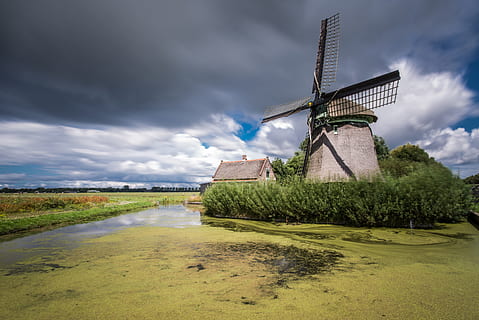 gris, molí de vent, verd, arbres, estany, núvols, cel, paisatge, arquitectura, històricament, aigua, molí, descans, Països Baixos, Holanda, energia renovable, energia alternativa, conservació del medi ambient, generació de combustible i energia, núvol - cel, aerogenerador, turbina, medi ambient, energia eòlica, molí de vent tradicional, naturalesa, planta, camp, estructura construïda, escena rural, herba, cap gent, a l'aire lliure, 5K, CC0, domini públic, lliure de regalies