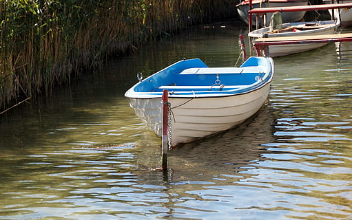 loďka, loď, punts, ukotvena, vázaný, námořní plavidlo, přeprava, voda, kotvící, dopravy, venku, způsob dopravy, den, Příroda, odraz, nikdo, jezero, nábřeží, klid, modrý, rostlina, dřevo - materiál, cestovat, klidné scény, 2K, CC0, veřejná doména, bez autorských práv