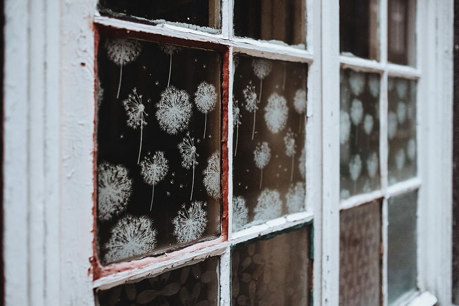 lukket, hvid, indrammet, glaspanel vindue, glas vindue, mælkebøtte print, stålramme, træ-, vindue, spray, mønster, blomst, kold temperatur, ingen mennesker, sne, vinter, dag, natur, tæt på, glas - materiale, træ - materiale, arkitektur, udendørs, fokus på forgrunden, bygget struktur, bygning udvendig, Frosset, vinduesramme, plante, bygning, 5K